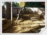  rent to own homes,  lease to own homes,  lease purchase homes,  lease option homes,  lease to buy homes