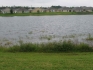  rent to own homes,  lease to own homes,  lease purchase homes,  lease option homes,  lease to buy homes